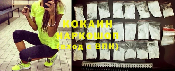 трава Белокуриха