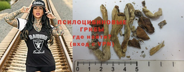мет Богданович