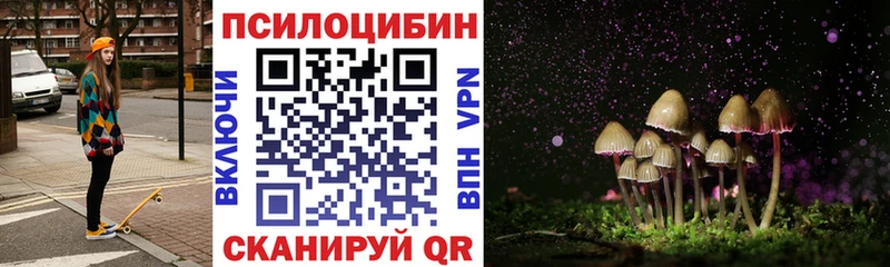 Галлюциногенные грибы Psilocybe  Мирный 